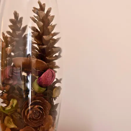 Casanegrano - Appartement *