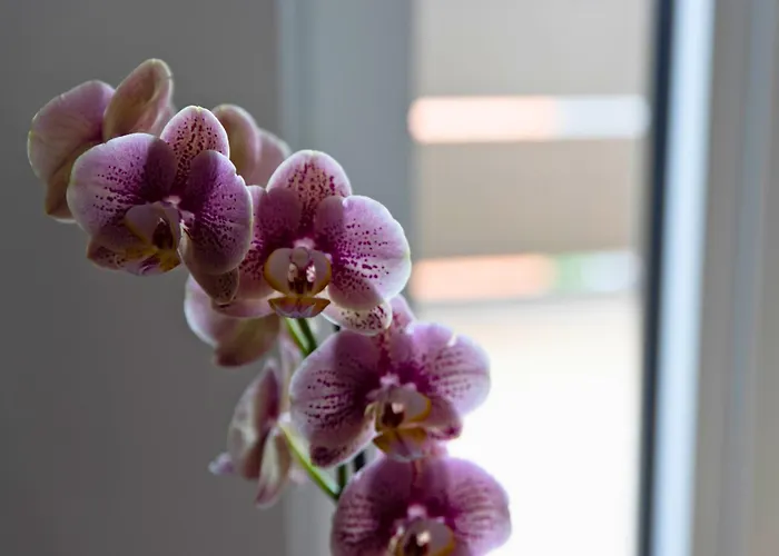 דירה Casanegrano - טרנטו